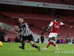 富勒姆主场战平纽卡斯尔,争夺保级越加激烈的简单介绍 富勒姆主场战平纽卡斯尔,争夺保级越加激烈的简单介绍