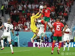 开云体育官网-法国前场弹跳力超群，篮板数据遥遥领先的简单介绍